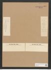 Diatomeae indet. Zeichnungen Sammlung Grunow Nr. 2841 (NHMW-BOT-W0370156)